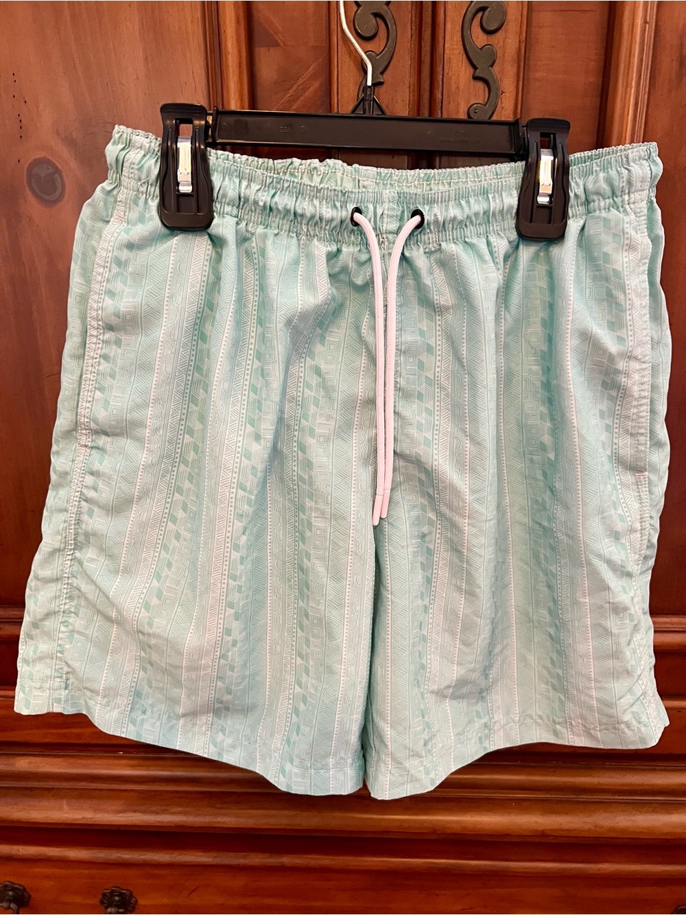 Tackle & Tides Light Mint Swim Shorts